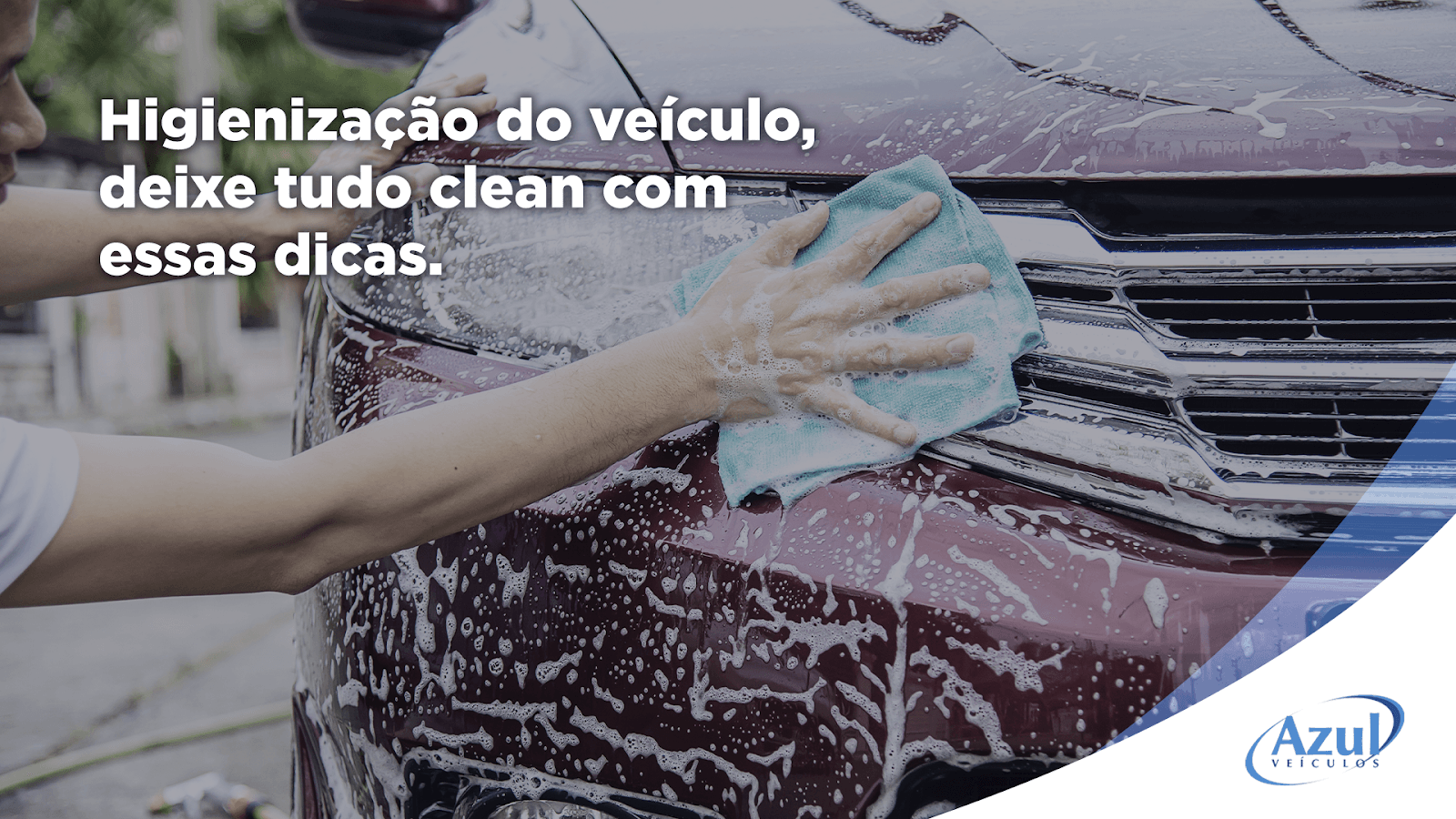 <strong>Lavagem e higienização do seu carro:</strong>